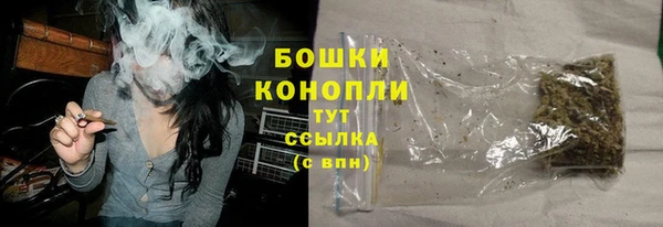 ГАЛЛЮЦИНОГЕННЫЕ ГРИБЫ Покровск