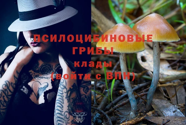 кокаин перу Покачи