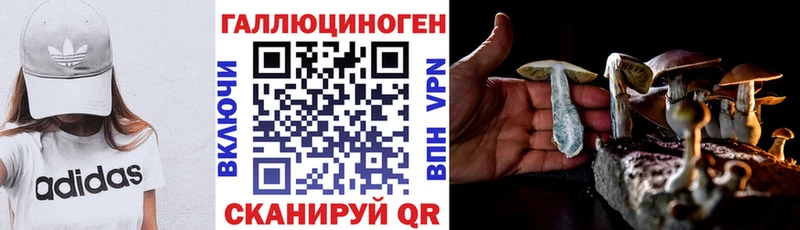 МЕГА зеркало Зеленоградск Галлюциногенные грибы Psilocybine cubensis закладка