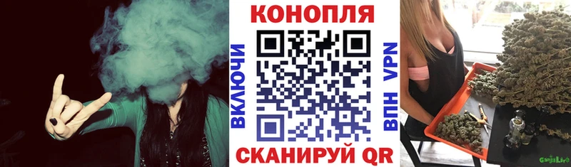 Каннабис индика  Зеленоградск 
